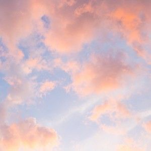 Meet your Posher, Asia